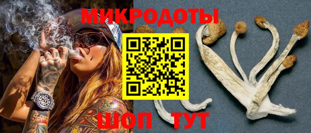 Галлюциногенные грибы Magic Shrooms Великий Устюг