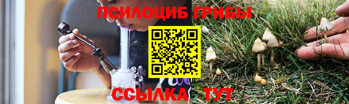 Галлюциногенные грибы Psilocybine cubensis  Вход с VPN  Великий Устюг 